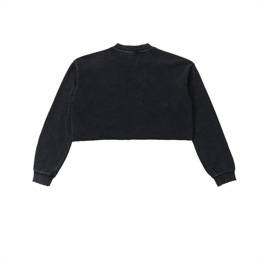 Inspired Snow Washed Cropped Sweatshirt